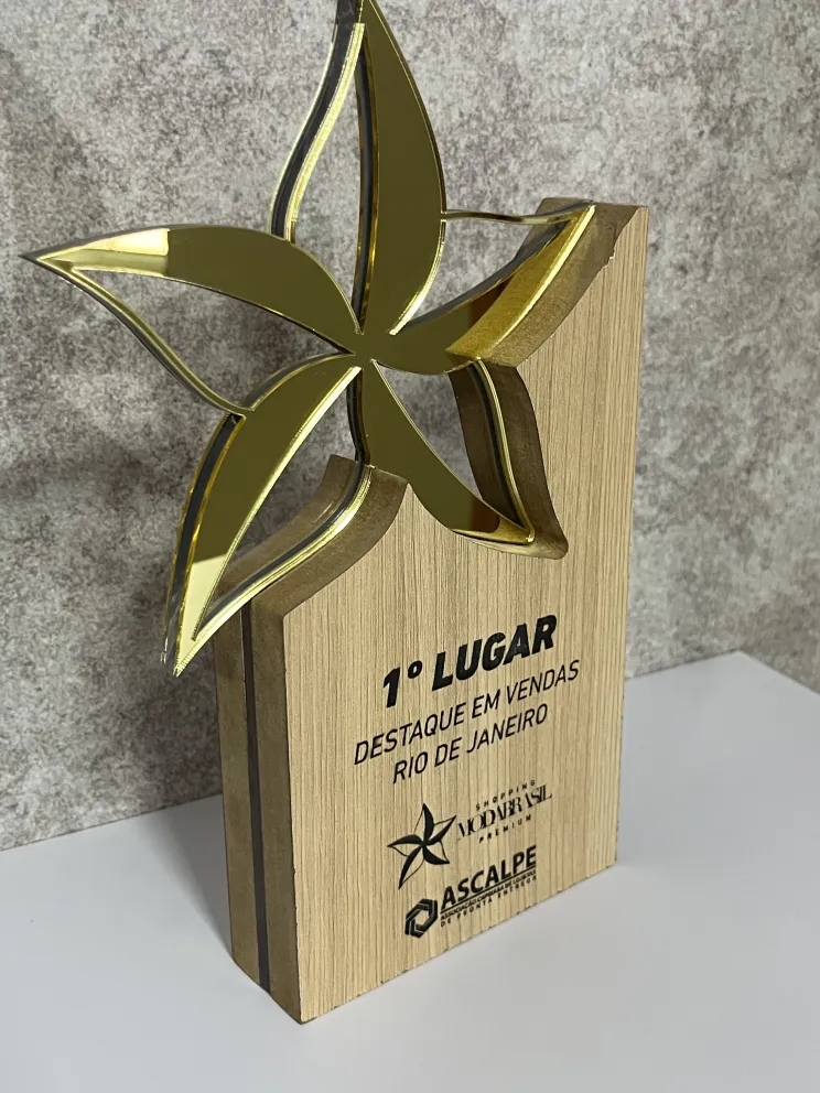 Troféus e Medalhas